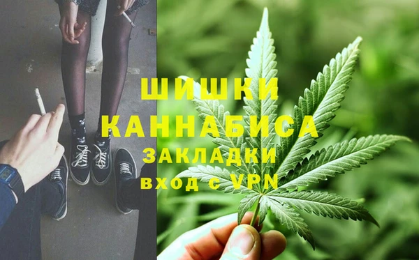 дмт Лагань