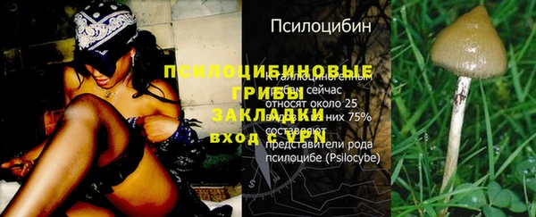 прущая мука Лабытнанги