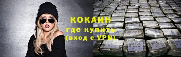 дмт Лагань