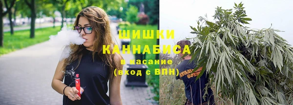 дмт Лагань