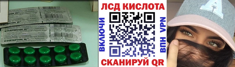 где купить наркоту  Ессентукская  Лсд 25 экстази ecstasy 